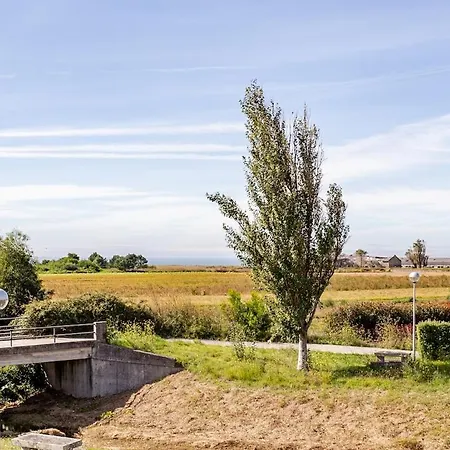 Ferienhaus Casa Da Roteia Areosa